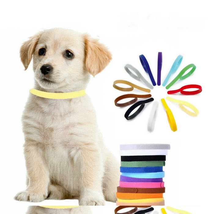 12 Colors Nylon Newborn Puppy Kitten Identification ID Collars