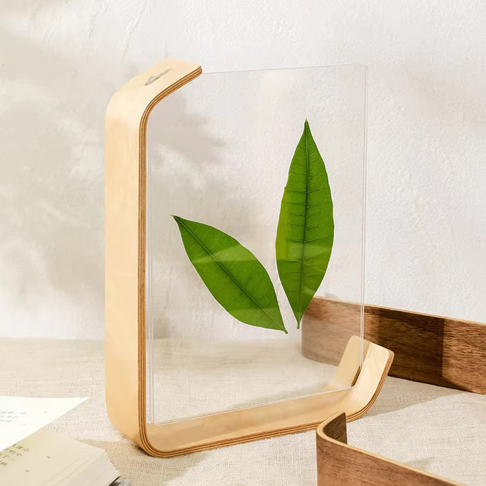 Acrylic Wooden Photo Frame Herbarium Display Calendar DIY Frame
