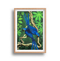 Ally Fetscher-Smith - Blue Parrots