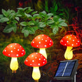 Red / 4 Mushroom in 1 Set