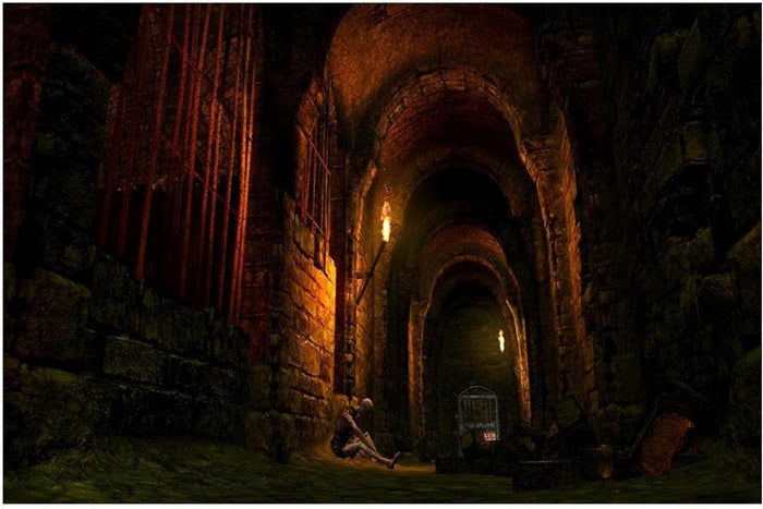 Bandai Namco Entertainment Dark Souls Trilogy (PS4)