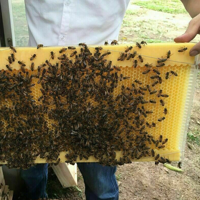 7 Pcs Unassembled Sheets Beehive Wooden Frames Beekeeping Supplies