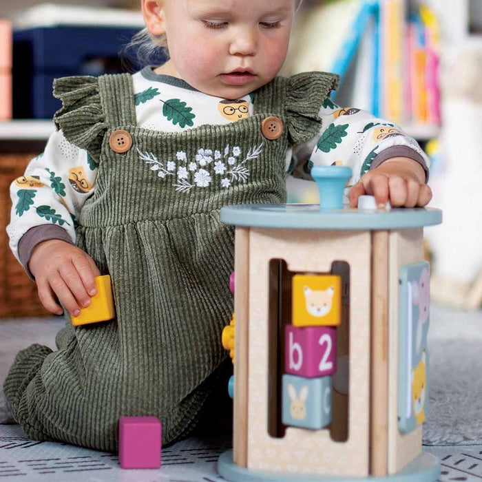 Bigjigs Toys FSC Wooden Rolling Activity Sorter Earth Friendly Shape Sorter for Toddlers