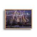 Dale Lotherington - Newcastle City Lightning