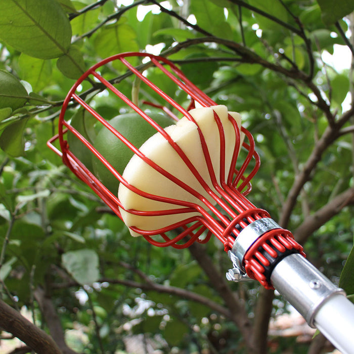 Deep Basket Fruit Picker Head Farm Picking Device Garden tools