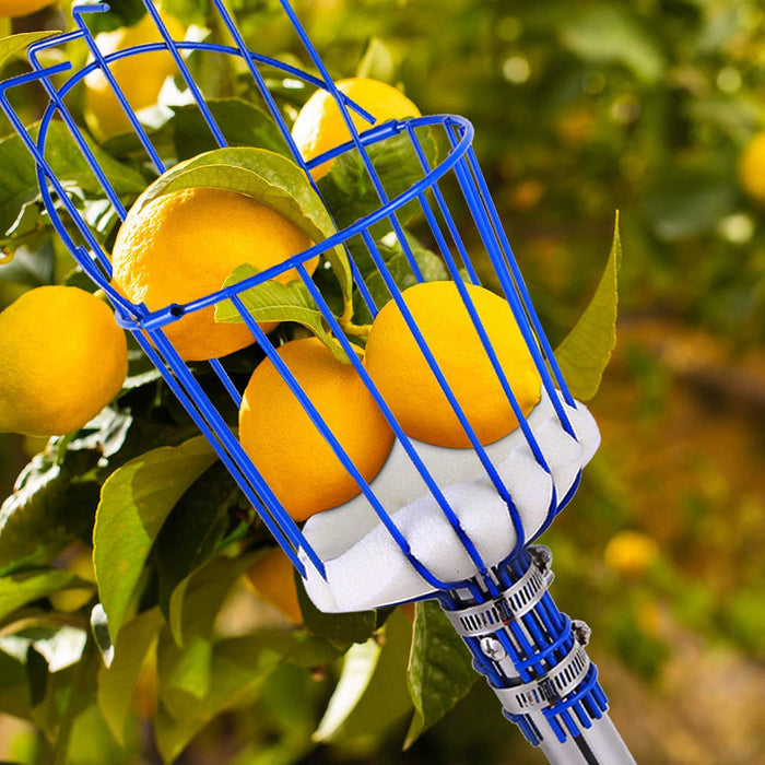 Deep Basket Fruit Picker Head Farm Picking Device Garden tools