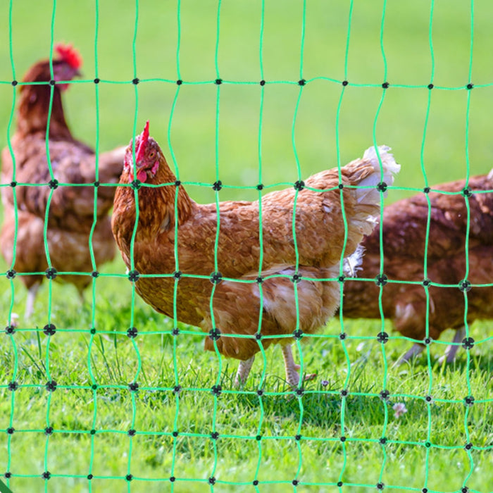 Electric Fence Netting PE Net Fencing with Posts & Double Spiked Stakes