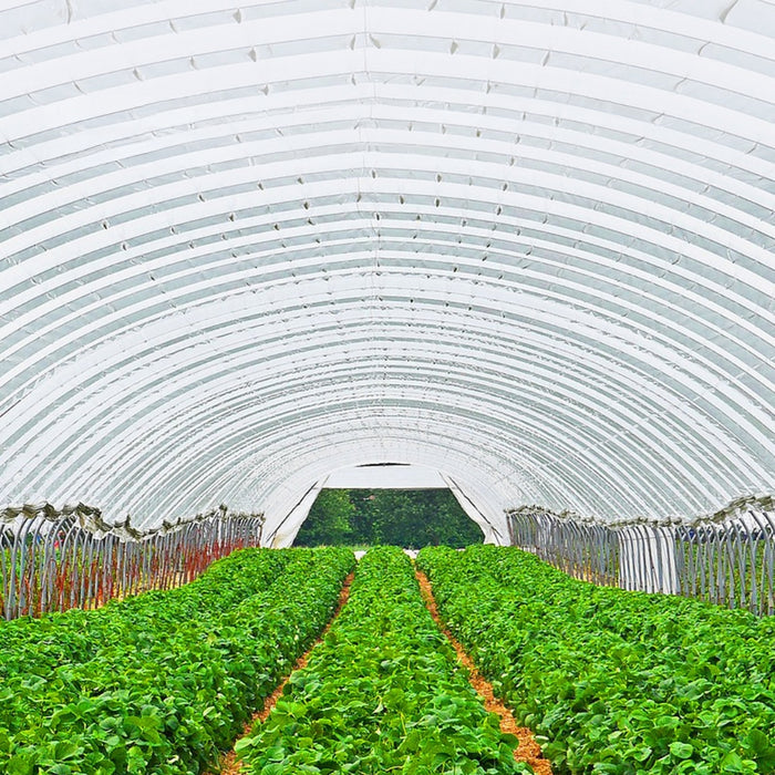 Greenhouse Film Cover Greenhouse Film UV Resistant Polyethylene Covering Garden Plants Flowers Agriculture