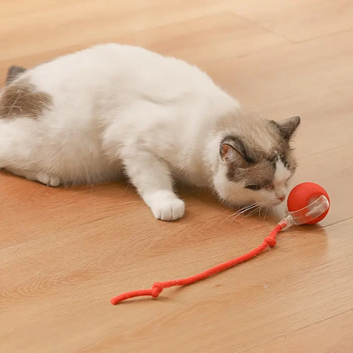 Toy Dog Cat Interactive Rechargeable Rolling Ball with Faux Tail