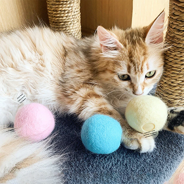 Interactive Ball Plush Electric Kitten Touch Sounding Squeak Toy