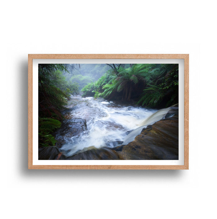 Jared Moxey- Blue Mountains Rebirth