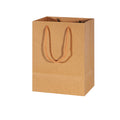 Kraft Paper Bags Gift Shopping Carry Craft Brown Bag with Handles