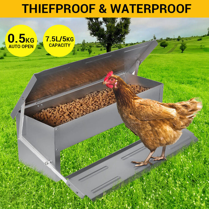 Heavy Large 5KG Treadle Automatic Farm Poultry Feeder Kit