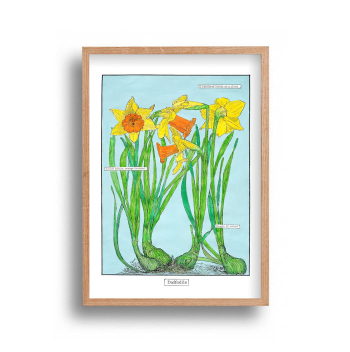 Liz Sherriff - Daffodils