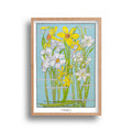 Liz Sherriff - Narcissi