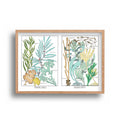 Liz Sherriff - Seaweeds