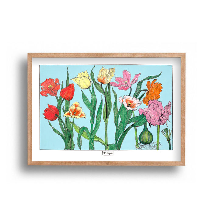 Liz Sherriff - Tulips