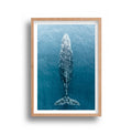 Mick Fortier Photography - Magnificent Whale