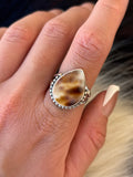 Native American, Hand-Made, Cowrie & Sterling Silver Ring