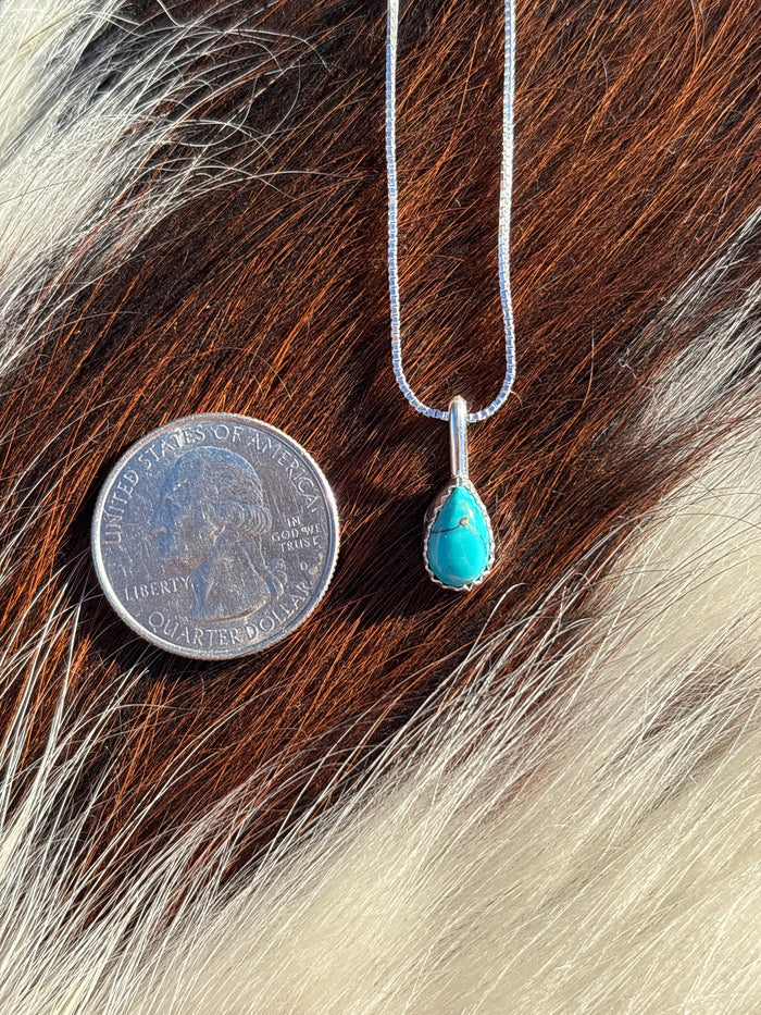 Native American, Hand-Made, Turquoise & Sterling Silver Necklace #10