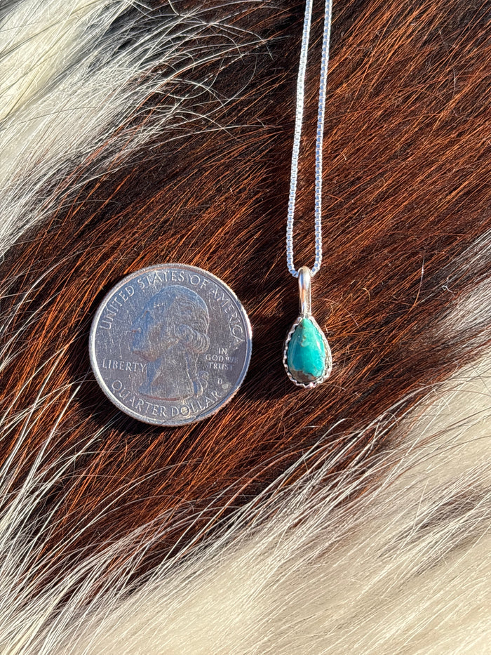Native American, Hand-Made, Turquoise & Sterling Silver Necklace #11