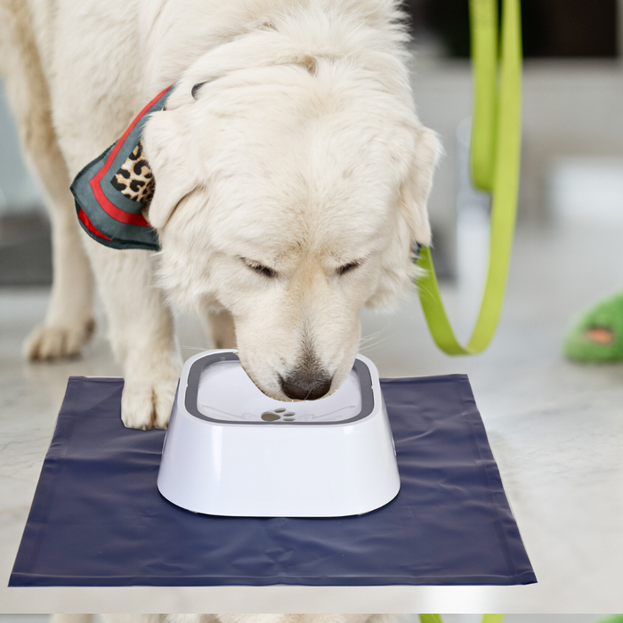 Floating Pet Water Bowl with Waterproof Mat