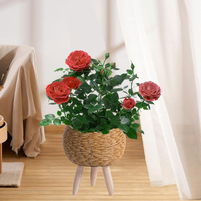 Nordic Style Faux Rattan Plant Stand Flower Shelf Flower Pot