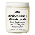 Our Friendship is Like A Candle If You Forget About Me I'll Burn Your House Down Candle