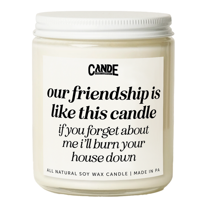 Our Friendship is Like A Candle If You Forget About Me I'll Burn Your House Down Candle