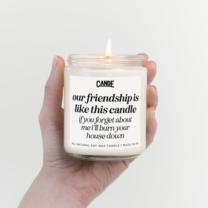 Our Friendship is Like A Candle If You Forget About Me I'll Burn Your House Down Candle
