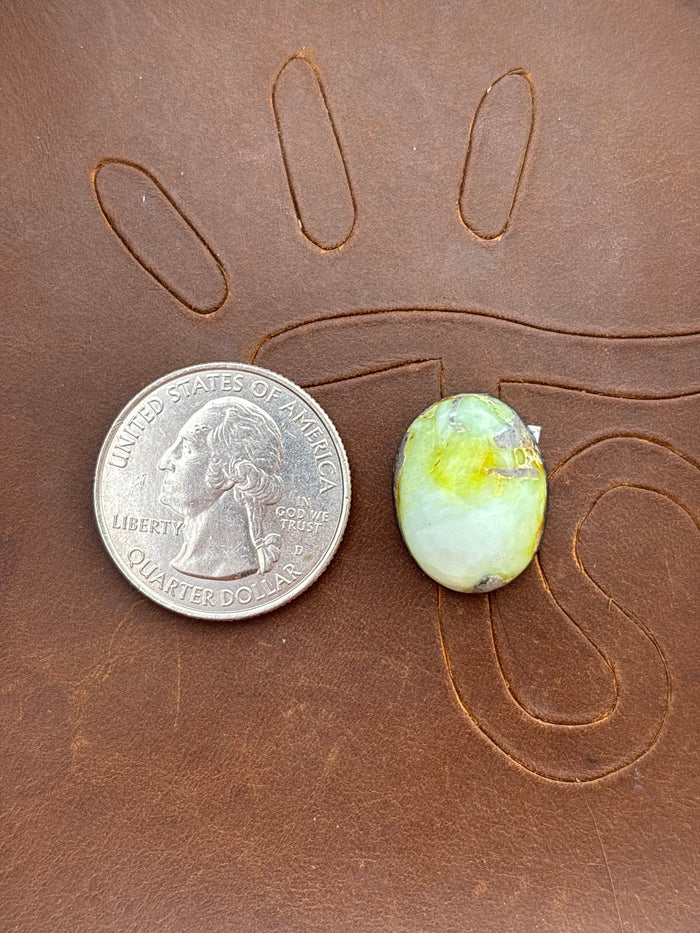 Palomino Variscite Cabochon