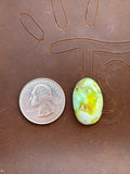 Palomino Variscite Cabochon