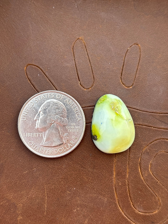 Palomino Variscite Cabochon