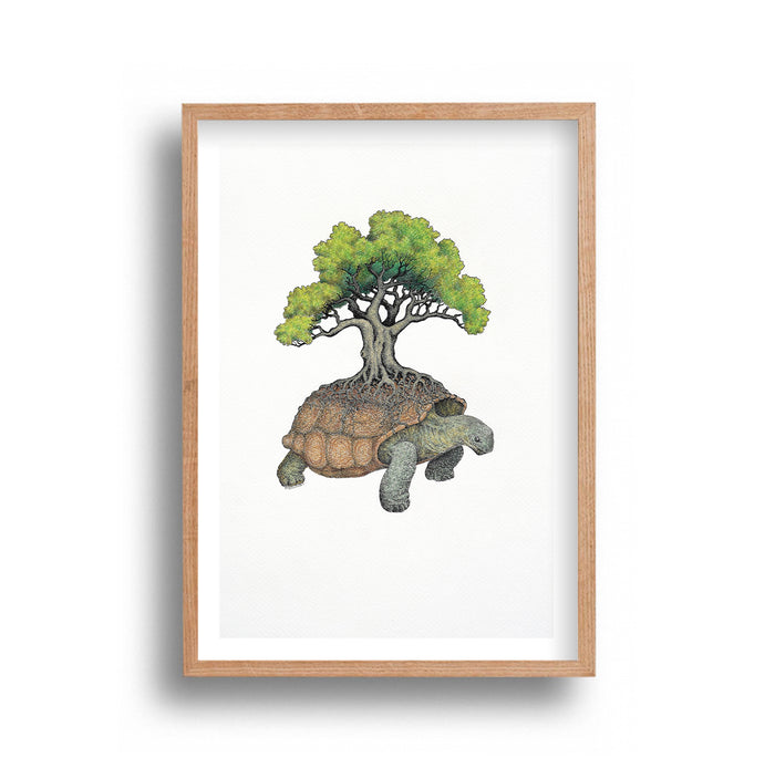 Peter Simmons - Tortoise Tree