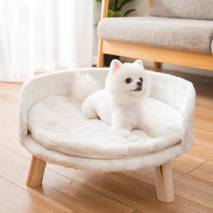 Plush Luxury Cat Bed with Cozy Cushion Pad