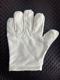Polishing Glove
