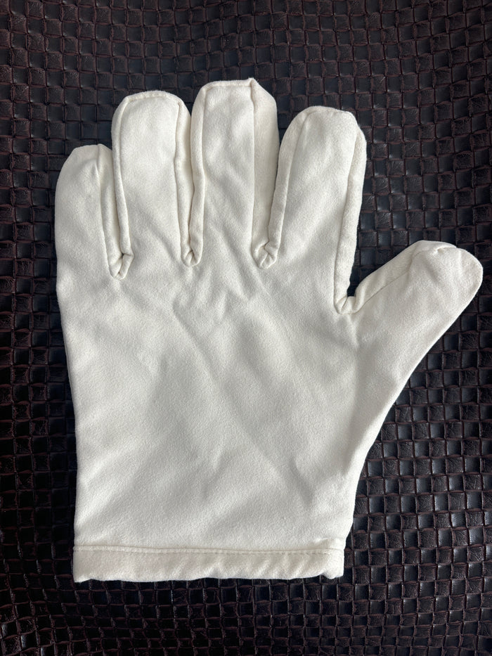 Polishing Glove