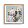 Prudence De Marchi - Hydrangea