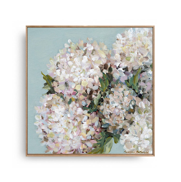 Prudence De Marchi - Hydrangea