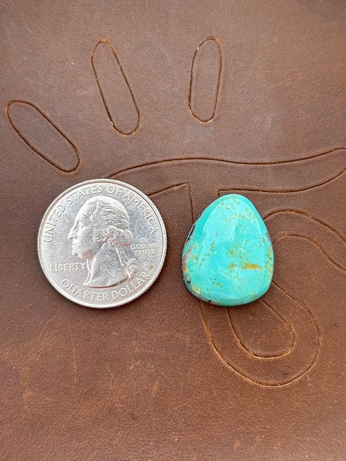 Royston Turquoise Cabochon