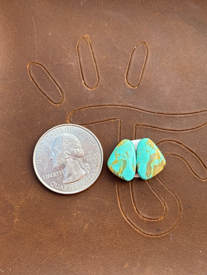 Turquoise Earrings Cabochon Set