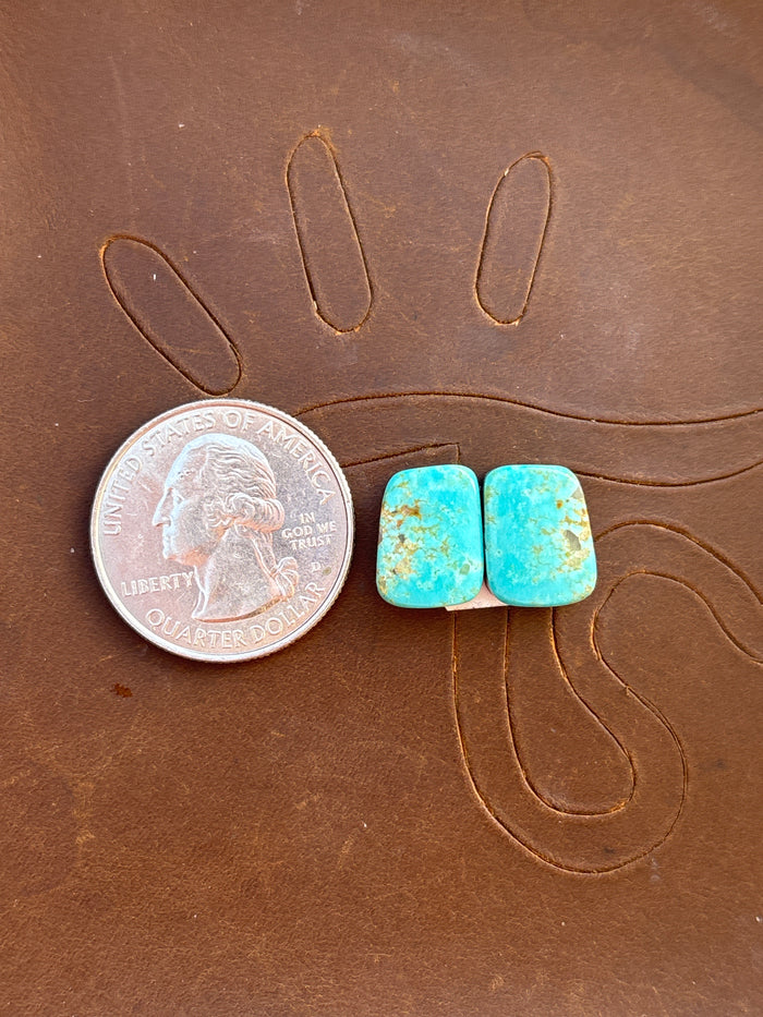 Turquoise Earrings Cabochon Set