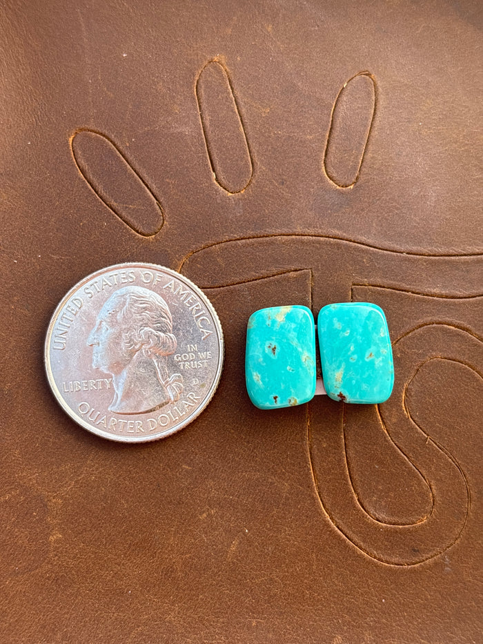 Turquoise Earrings Cabochon Set
