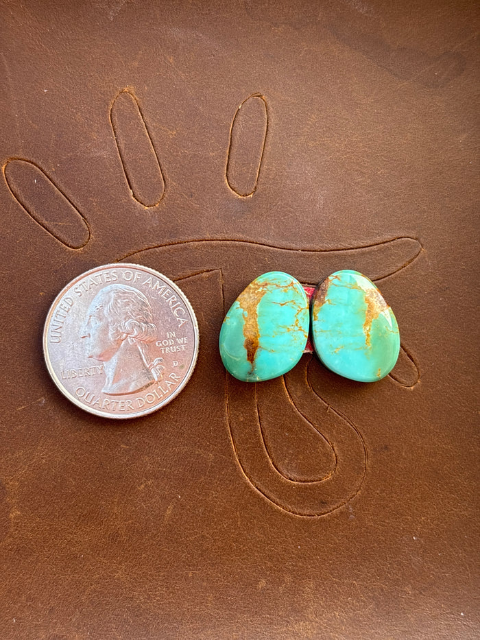 Turquoise Earrings Cabochon Set