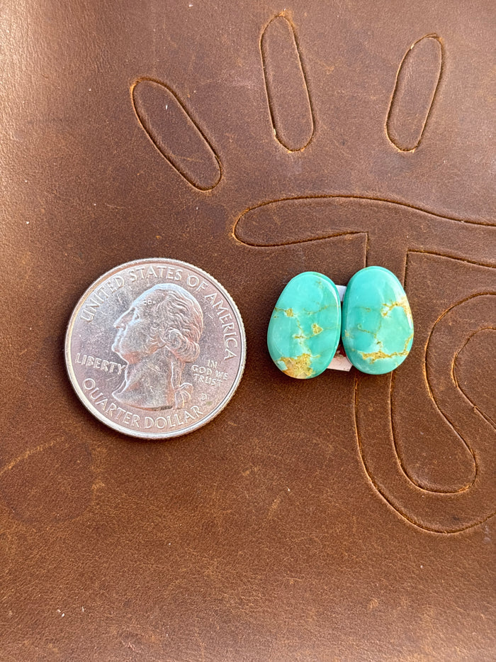 Turquoise Earrings Cabochon Set