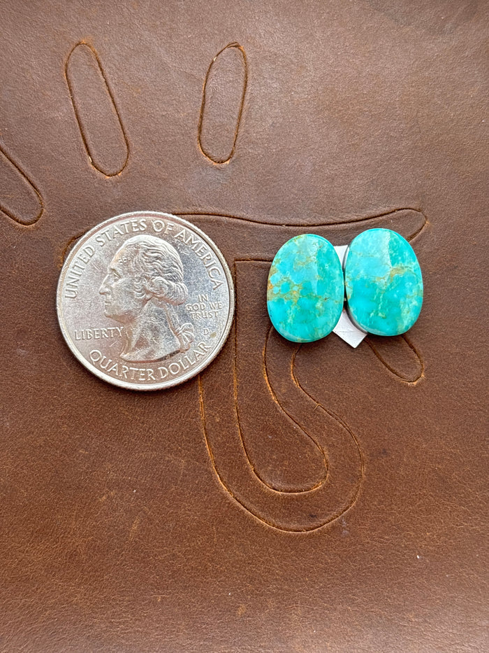 Turquoise Earrings Cabochon Set