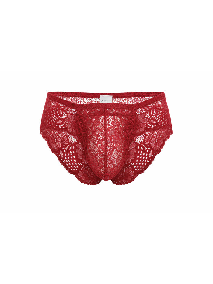 Red lace underwear on a white background