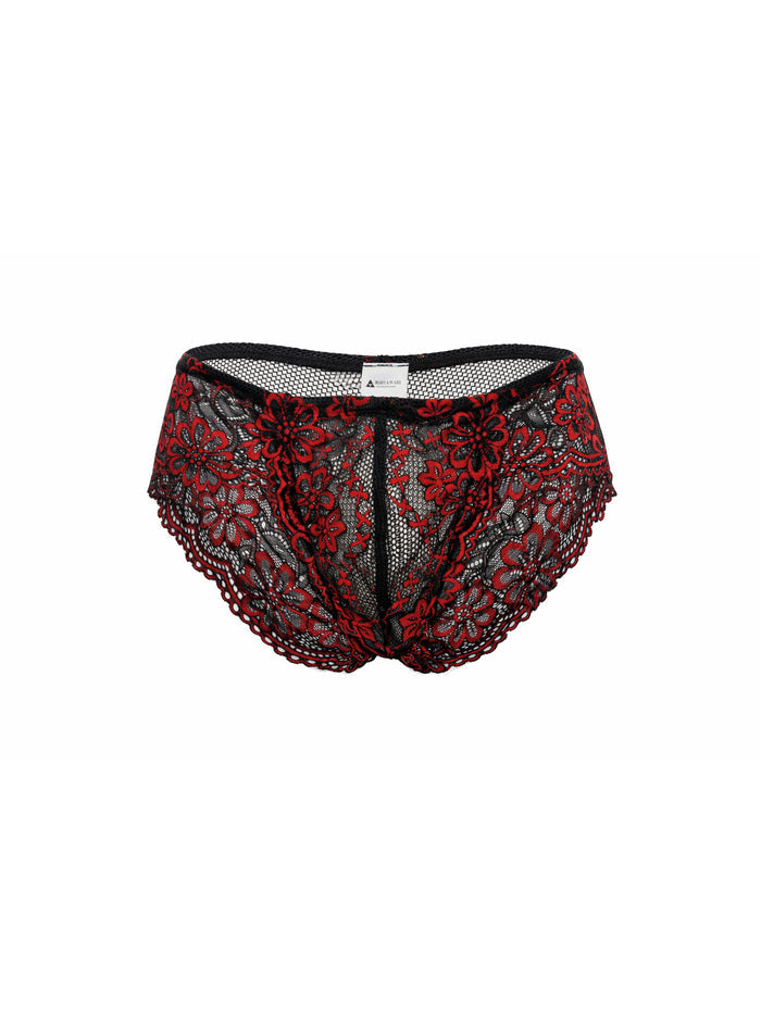 Black and red lace underwear on a white background