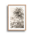 Wiltliving - Pandanus at Crescent